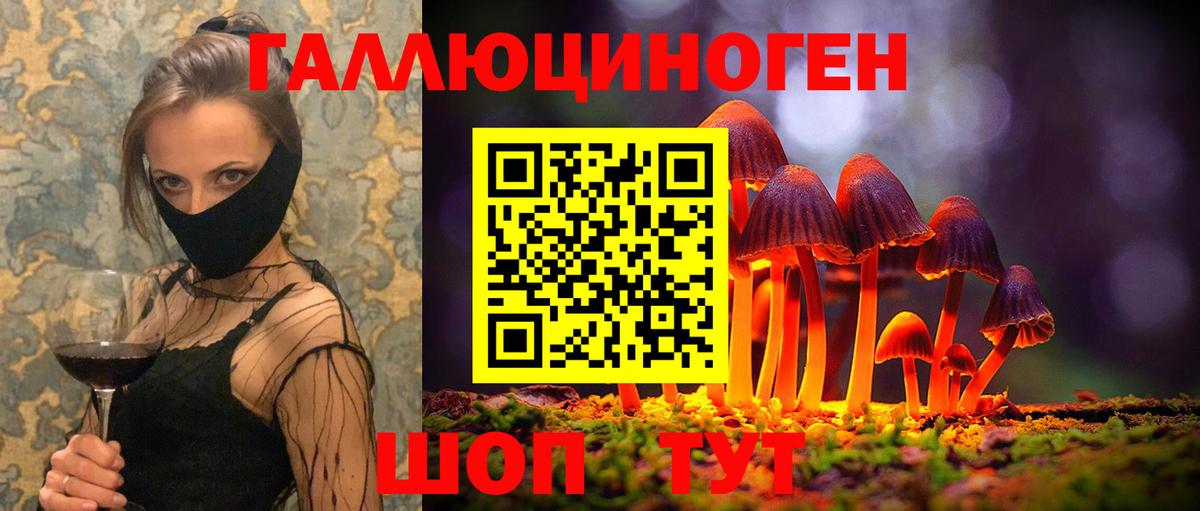 Галлюциногенные грибы GOLDEN TEACHER  Вход с VPN  наркошоп  Комсомольск-на-Амуре 