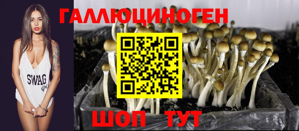 Галлюциногенные грибы Magic Shrooms Комсомольск-на-Амуре